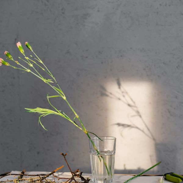 Person meditating peacefully in a serene natural environment, feeling calm and balanced.